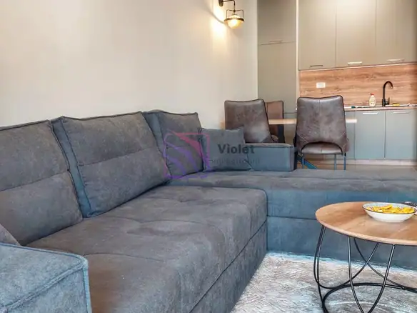 Izdavanje: Jednosoban stan 49 m² – Master kvart, Podgorica — fotografija 5