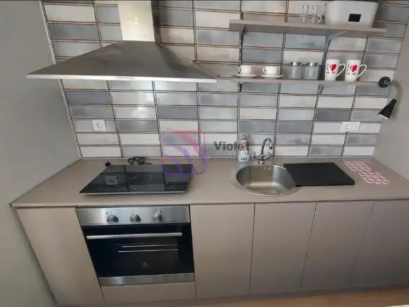 Izdavanje: Garsonjera 27 m² – Blok 5, Podgorica — fotografija 4