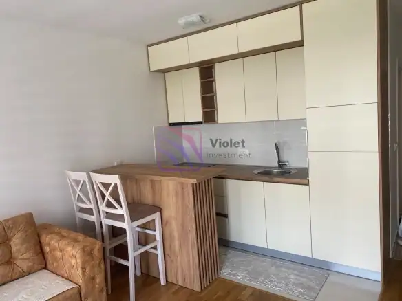Izdavanje: Garsonjera 27 m² – Stari aerodrom, Podgorica — fotografija 3