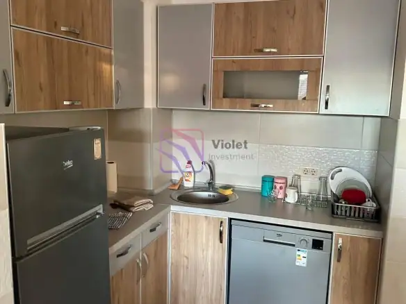 Izdavanje: Jednosoban stan 45 m² – Zagorič, Podgorica — fotografija 3