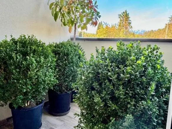 Jednosoban stan 45 m² – Radanovići, Kotor — fotografija 15