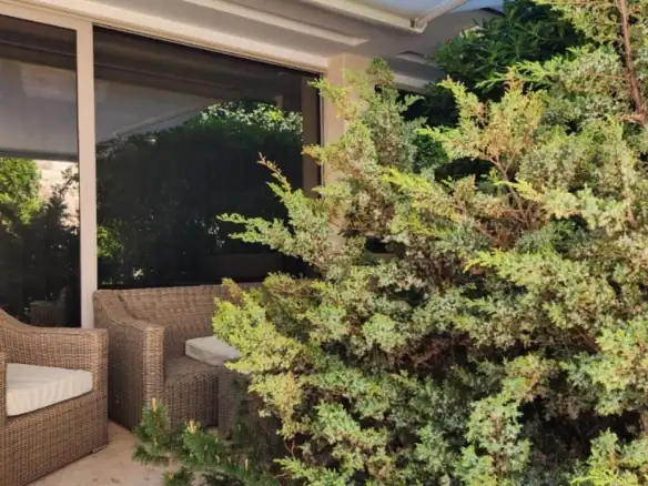 Jednosoban stan 62 m² – Boreti, Budva — fotografija 7