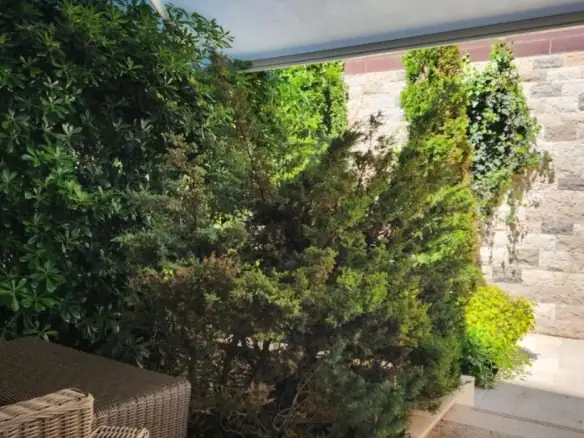 Jednosoban stan 62 m² – Boreti, Budva — fotografija 13