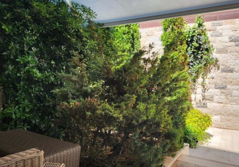 Jednosoban-stan-uz-more-u-Boretima-Budva-12 Jednosoban stan 62 m² – Boreti, Budva — fotografija 13