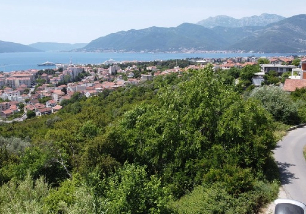 Plac-s-projektom-u-naselju-Mazina-Tivat-4 Plac 1.240 m² – Mažina, Tivat — fotografija 5