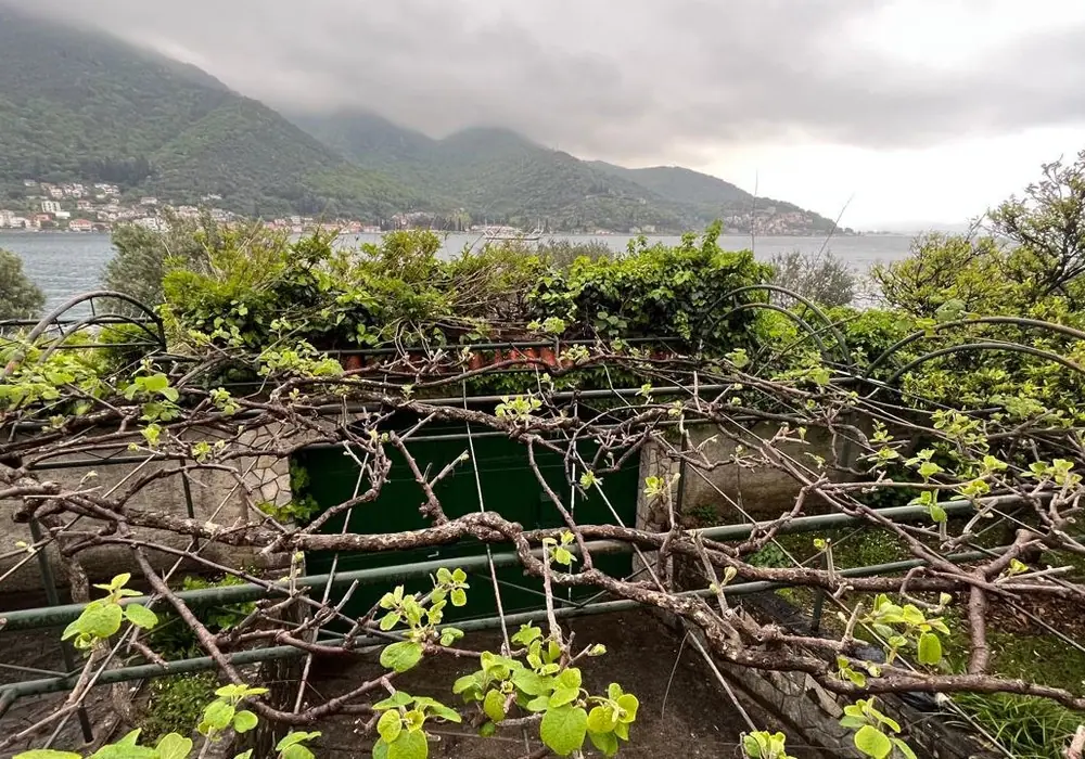 Kuca-uz-more-u-Kamenarima-Herceg-Novi-7 Kuća 205 m² – Kamenari, Herceg Novi — fotografija 8