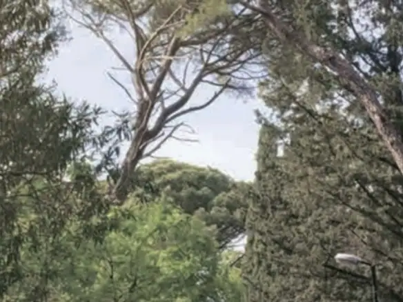 Garsonjera 25 m² – Mažina, Tivat — fotografija 10