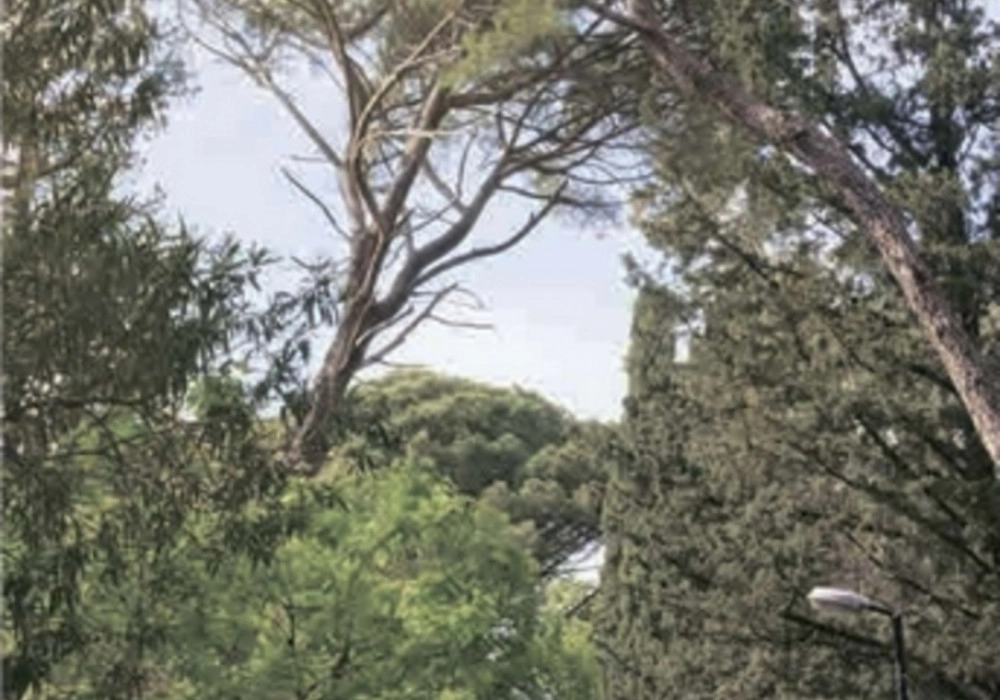 Garsonjera-u-novogradnji-Mazina-Tivat-9 Garsonjera 25 m² – Mažina, Tivat — fotografija 10