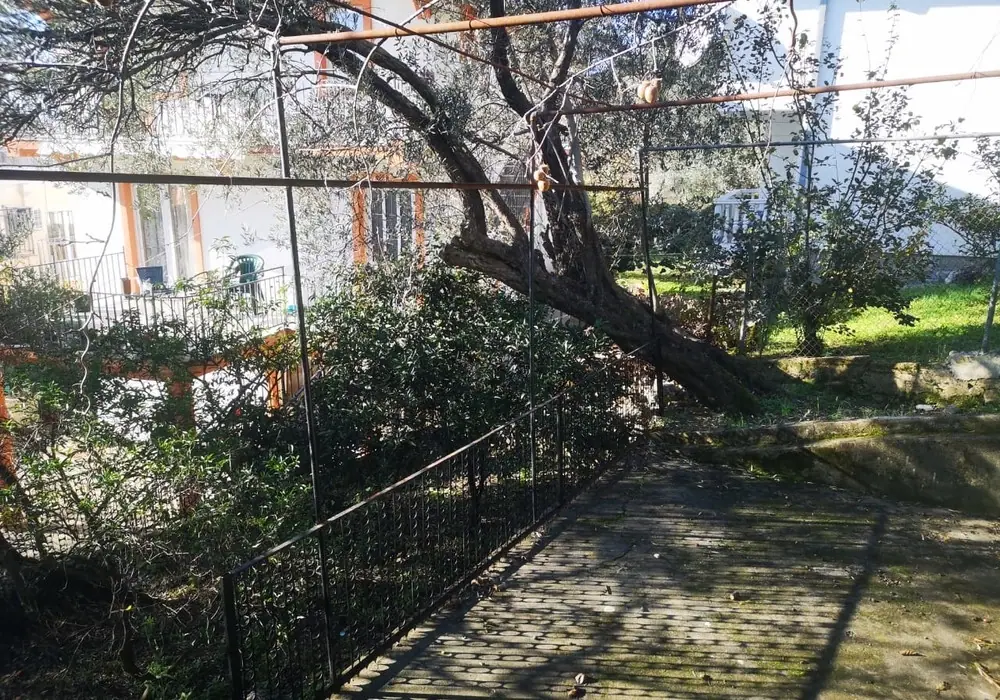 Kuca-sa-dvoristem-u-naselju-Vitici-Bar-4 Kuća 225 m² – Vitići, Bar — fotografija 5