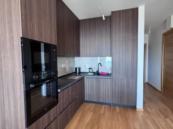 Izdavanje: Jednosoban stan 42 m² – Bečići, Budva — fotografija 3