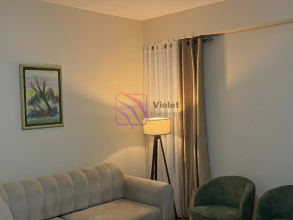 Izdavanje: Jednosoban stan 47 m² – Krivi most, Podgorica — fotografija 3