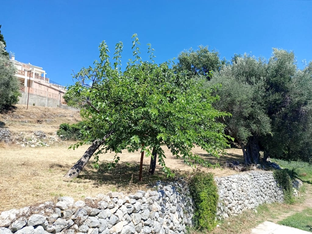 Plac-sa-panoramskim-pogledom-u-Susnju-Bar-4 Plac 1.890 m² – Šušanj, Bar — fotografija 5