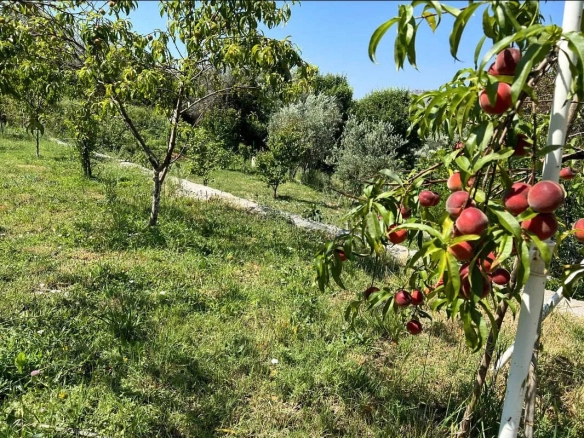 Kuća 208 m² – Polje, Bar — fotografija 5