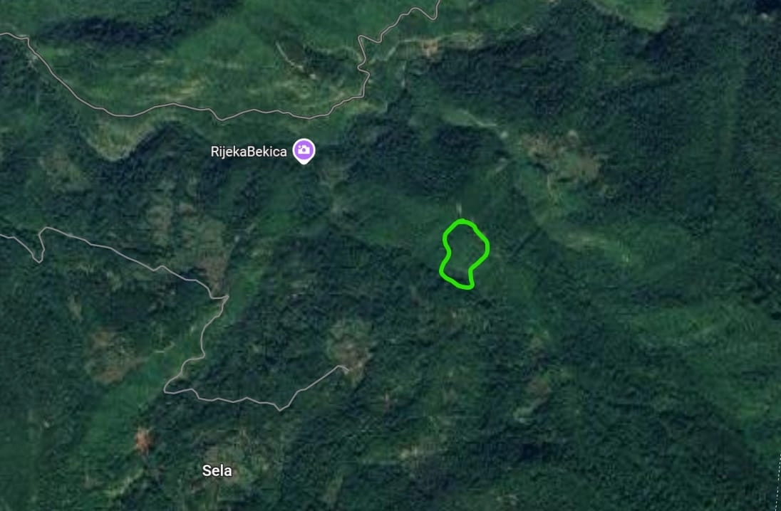 Sumsko-zemljiste-u-selu-Sela-Kolasin-1 Plac 24.808 m² – Kolašin — fotografija 2
