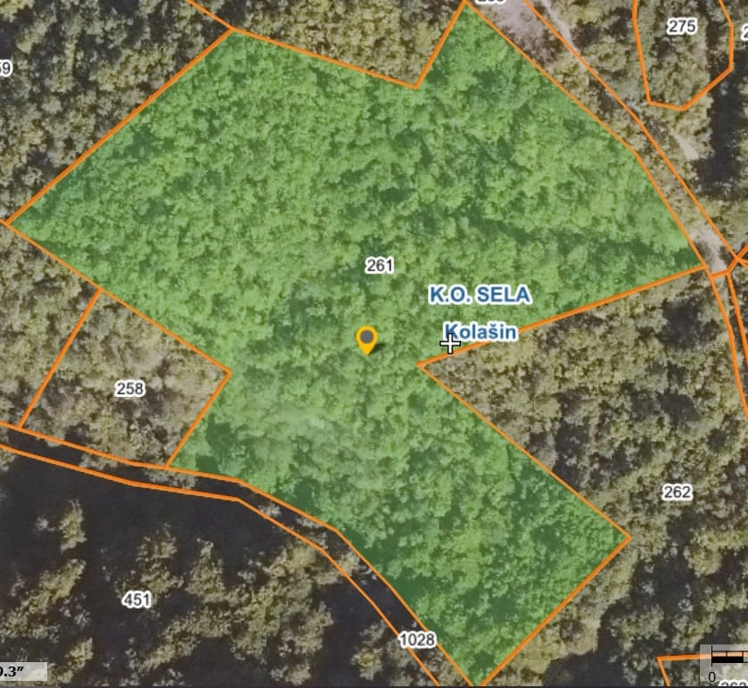 Sumsko-zemljiste-u-selu-Sela-Kolasin-2 Plac 24.808 m² – Kolašin — fotografija 3