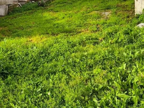 Plac 866 m² – Polje, Bar — fotografija 4