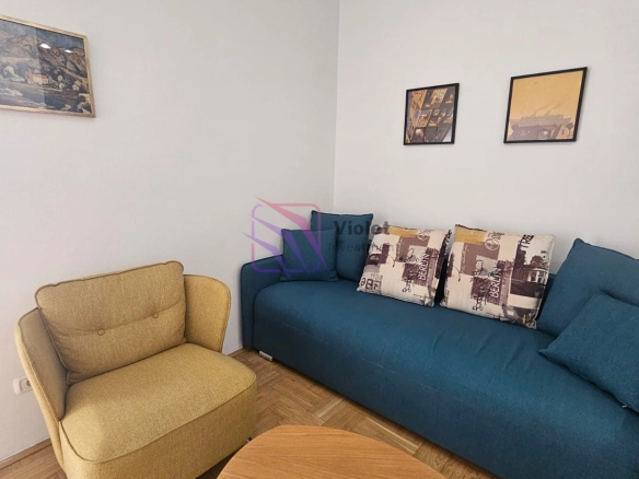 Izdavanje: Garsonjera – Centar, Podgorica — fotografija 13