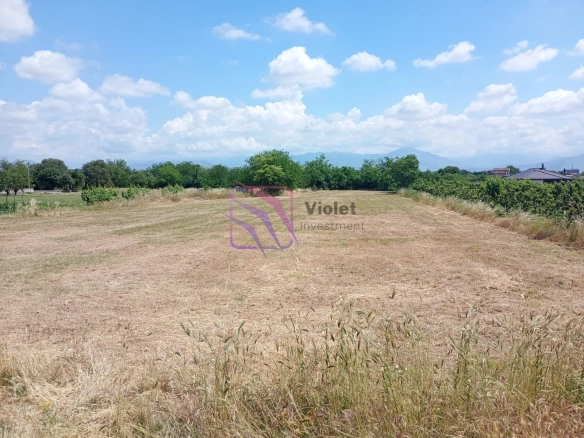 Plac 1850 m² u Lekićima