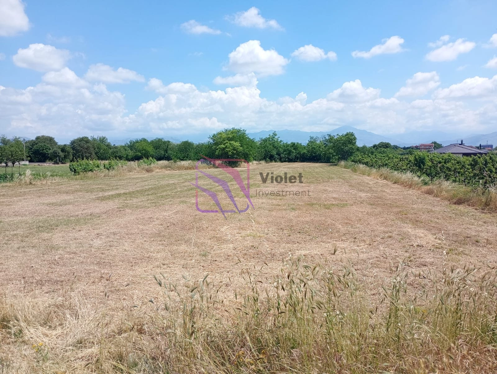 Plac 1850 m² u Lekićima