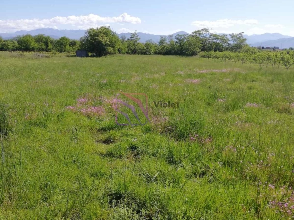 Plac 1.850 m² – Podgorica — fotografija 3