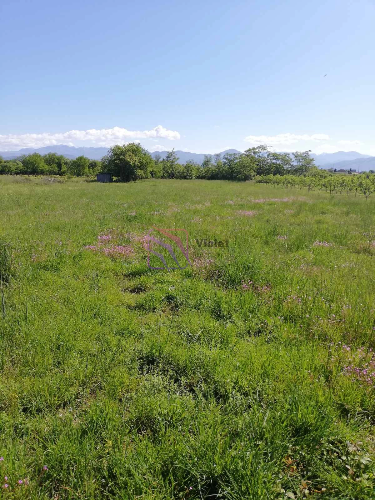 Plac 1.850 m² – Podgorica — fotografija 3