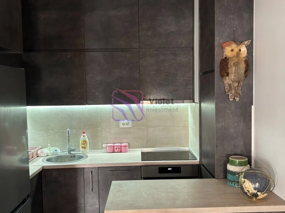 Izdavanje: Jednosoban stan 44 m² – City kej, Podgorica — fotografija 9
