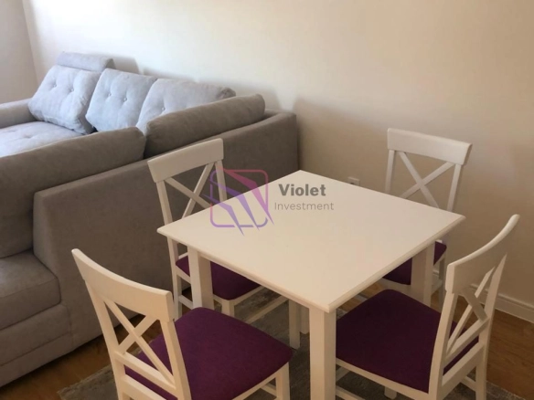 Izdavanje: Jednosoban stan 46 m² – Central Point, Podgorica — fotografija 2