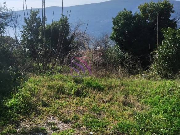 Plac 276 m² – Đenovići, Herceg Novi — fotografija 3