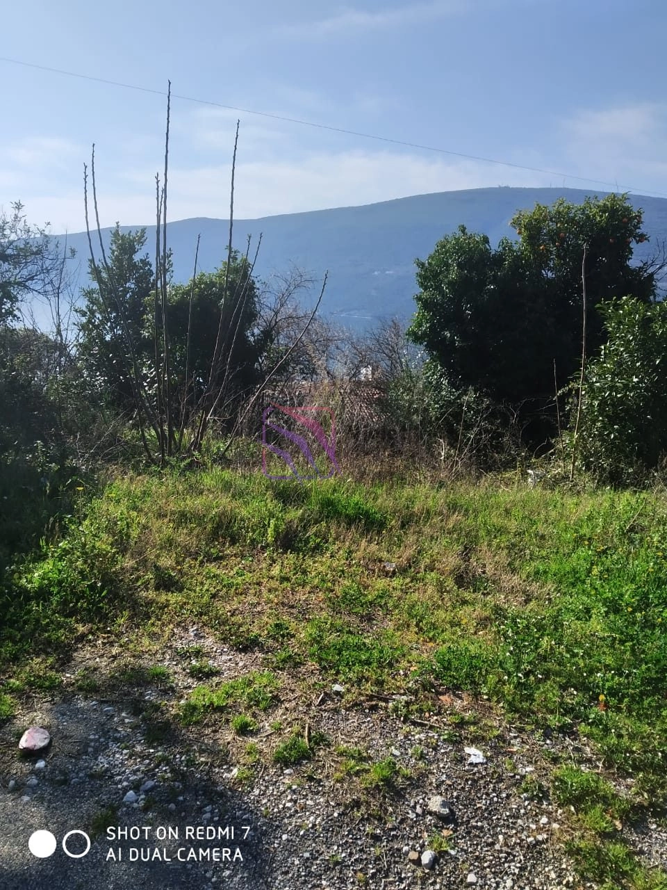 Plac-s-pogledom-na-more-u-DJenovicima-Herceg-Novi-2 Plac 276 m² – Đenovići, Herceg Novi — fotografija 3