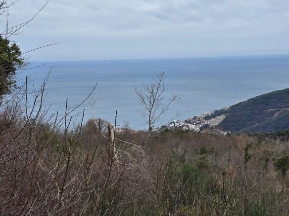 Plac 5.135 m² – Markovići, Budva — fotografija 3