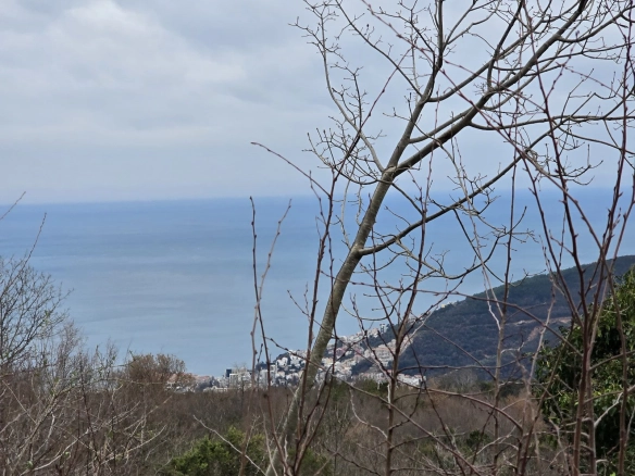 Plac 5.135 m² – Markovići, Budva — fotografija 4