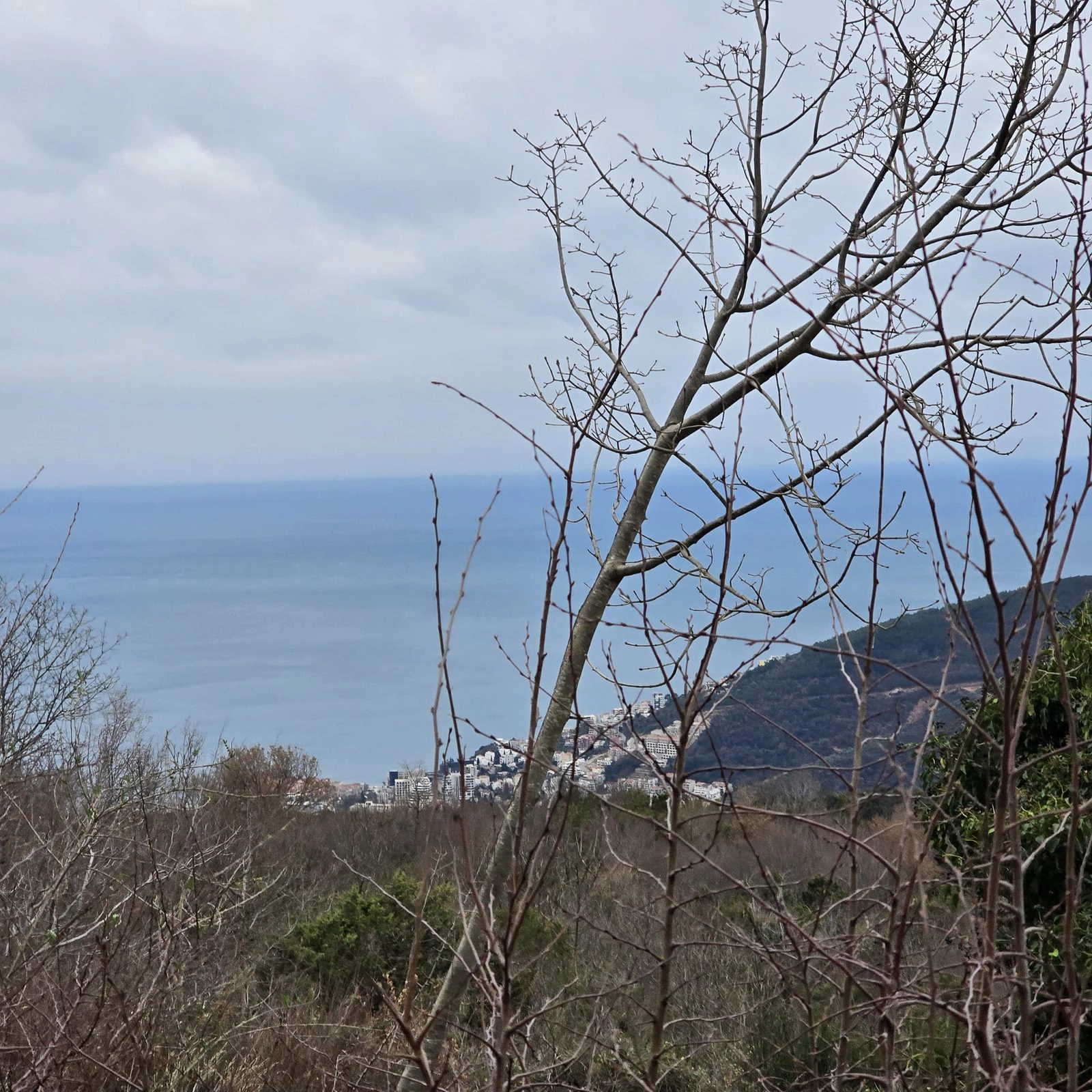 Plac-sa-pogledom-na-more-u-Markovicima-Budva-3 Plac 5.135 m² – Markovići, Budva — fotografija 4