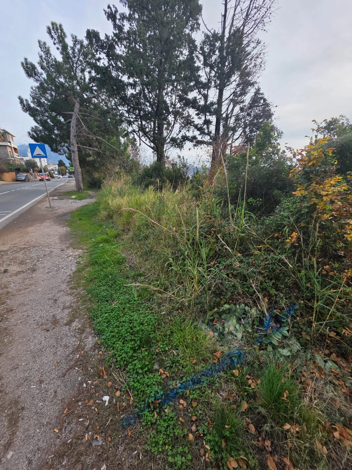 Plac-804-m²-u-naselju-Rena-Bar-2 Plac između magistrale i mora u Reni, Bar — fotografija 3