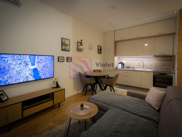 Izdavanje: Jednosoban stan 44 m² – Tološi, Podgorica — fotografija 3