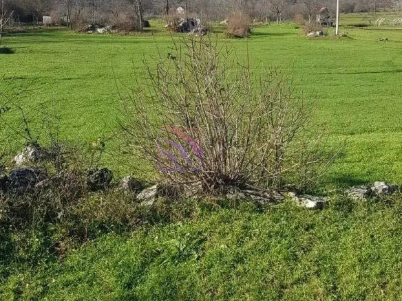 Plac 400000 m² uz magistralni put u Nikšiću