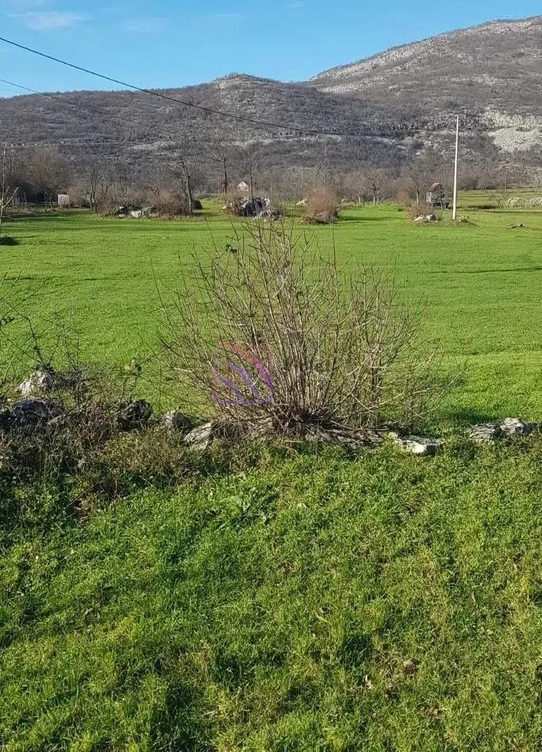 Plac-400000-m²-uz-magistralni-put-u-Niksicu Plac 400000 m² uz magistralni put u Nikšiću