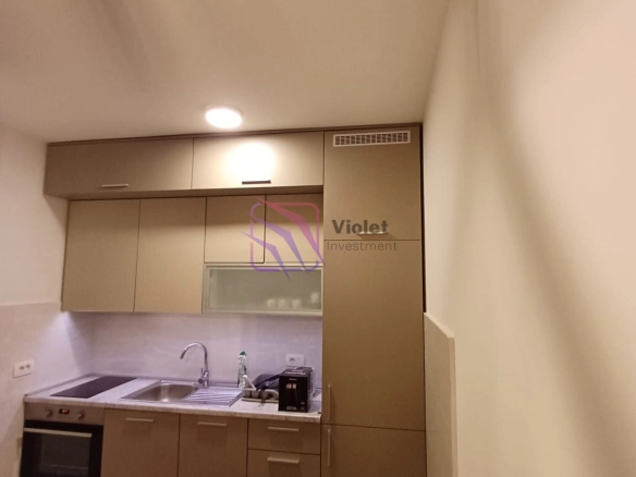 Namješten jednosoban stan, Central Point, Podgorica — fotografija 10