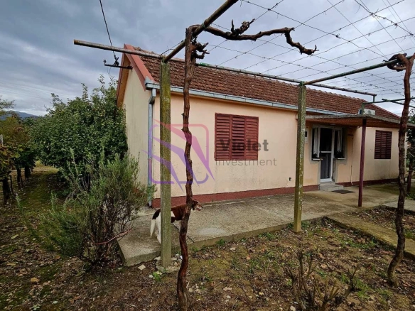 Kuća sa imanjem i vinogradom u Spužu