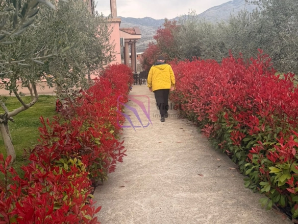 Izdavanje: Plac 160 m² – Podgorica — fotografija 2