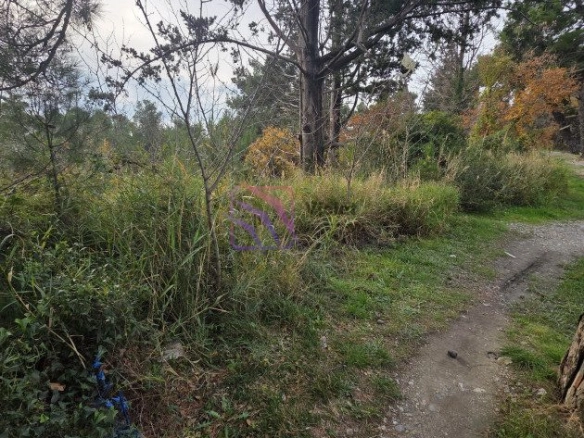 Plac 804 m² – Šušanj, Bar — fotografija 5
