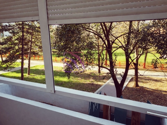 Izdavanje: Jednosoban stan – Blok 5, Podgorica — fotografija 2