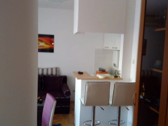 Jednosoban stan na Starom aerodromu, Podgorica — fotografija 6