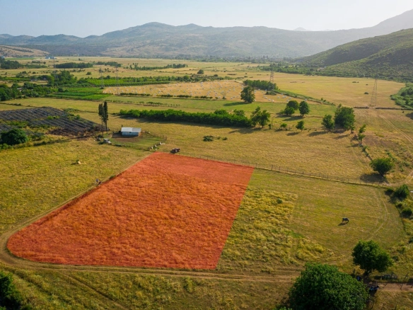 Izdavanje: Plac 3.500 m² – Gornja Gorica, Podgorica — fotografija 3