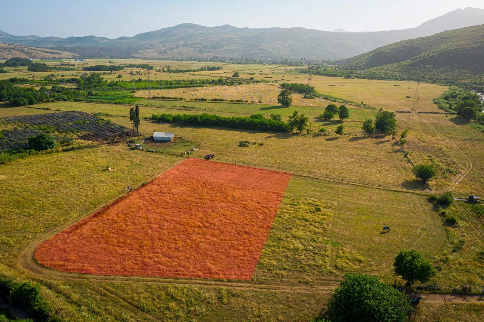 Plac-3500-m²-u-Gornjoj-Gorici-Podgorica-2 Izdavanje: Plac 3.500 m² – Gornja Gorica, Podgorica — fotografija 3
