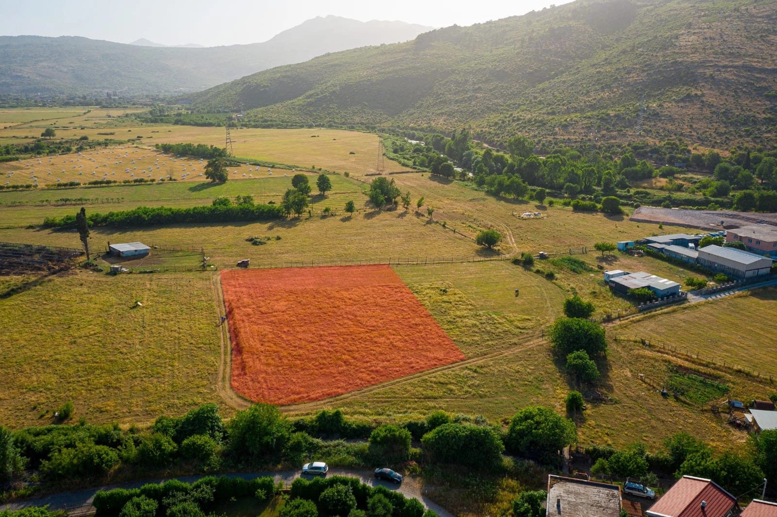 Plac-3500-m²-u-Gornjoj-Gorici-Podgorica-7 Izdavanje: Plac 3.500 m² – Gornja Gorica, Podgorica — fotografija 8