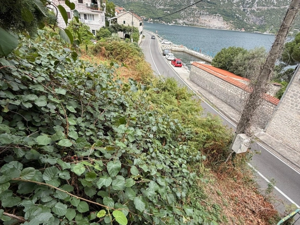 Plac 1.700 m² – Koštanjica, Kotor — fotografija 8