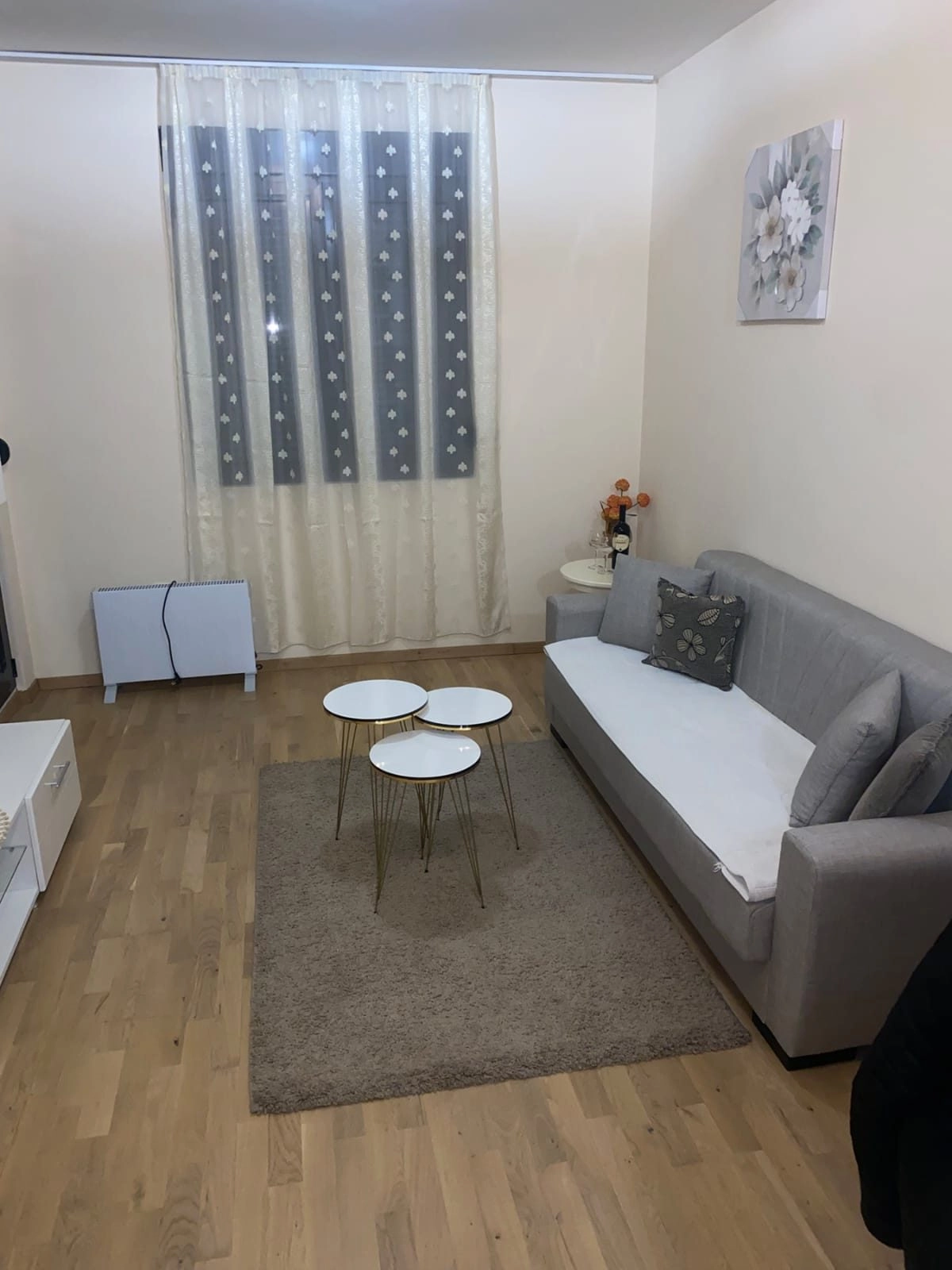 Jednosoban-stan-Vezirov-most-Podgorica-2 Izdavanje: Jednosoban stan 45 m² – Vezirov most, Podgorica — fotografija 3