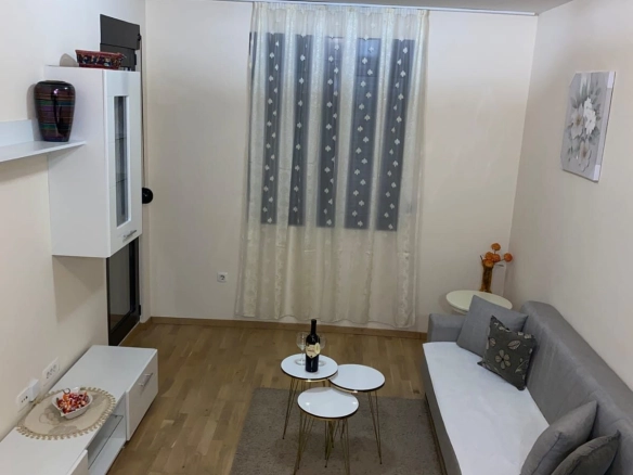 Izdavanje: Jednosoban stan 45 m² – Vezirov most, Podgorica — fotografija 6