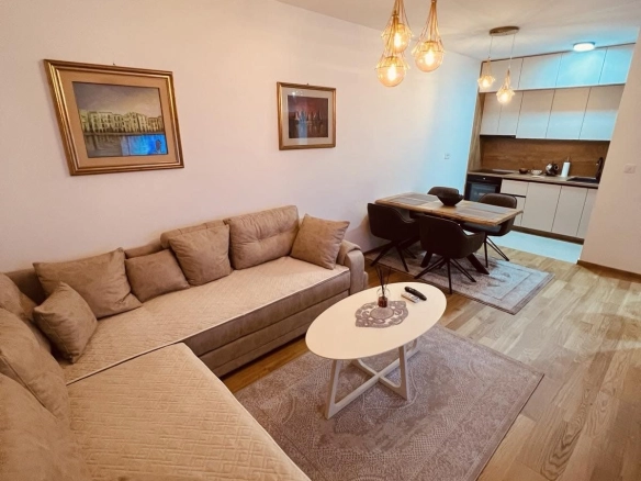 Izdavanje: Jednosoban stan 45 m² – City kvart, Podgorica — fotografija 12