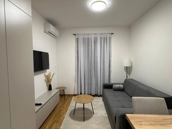 Izdavanje: Garsonjera 242 m² – Zabjelo, Podgorica — fotografija 4